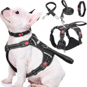 Adjustable dog harness
