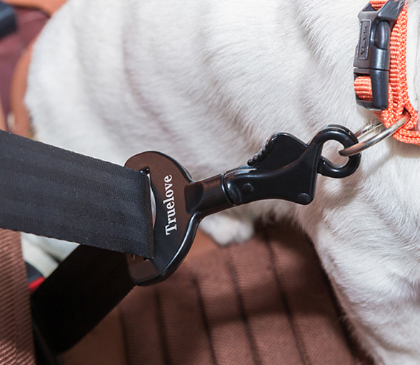 Dog Safety Seat Belt